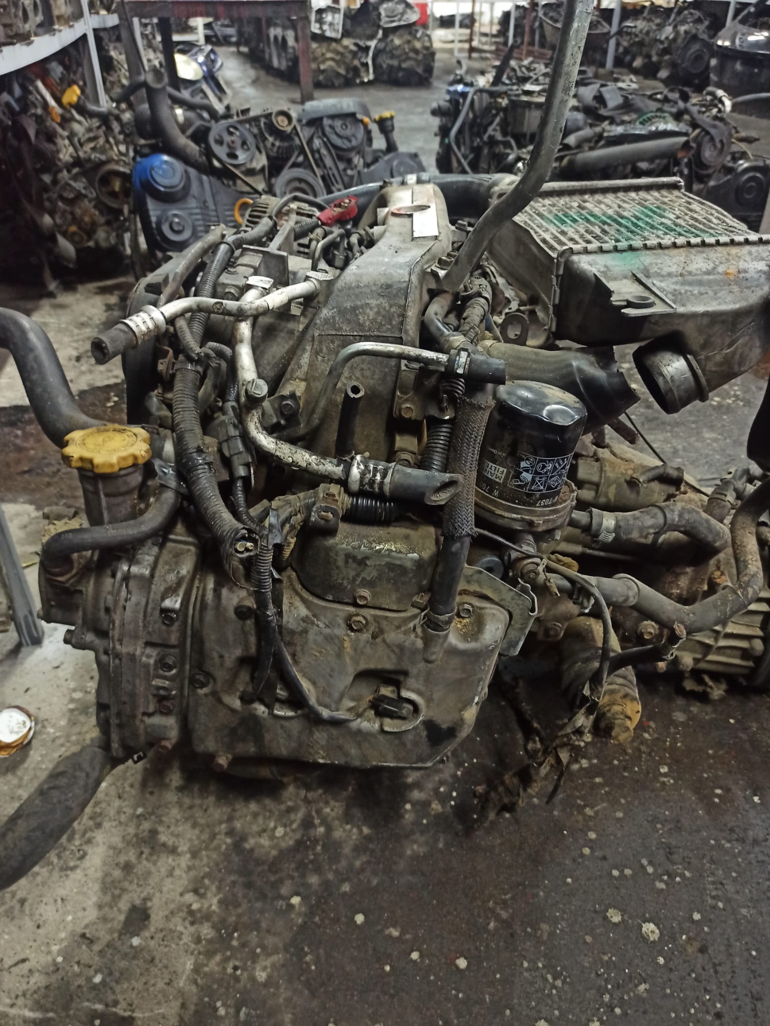 SUBARU FORESTER 2010 MODEL DIZEL MOTOR CIKMA